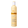 Milk_shake Color Maintainer Shampoo 